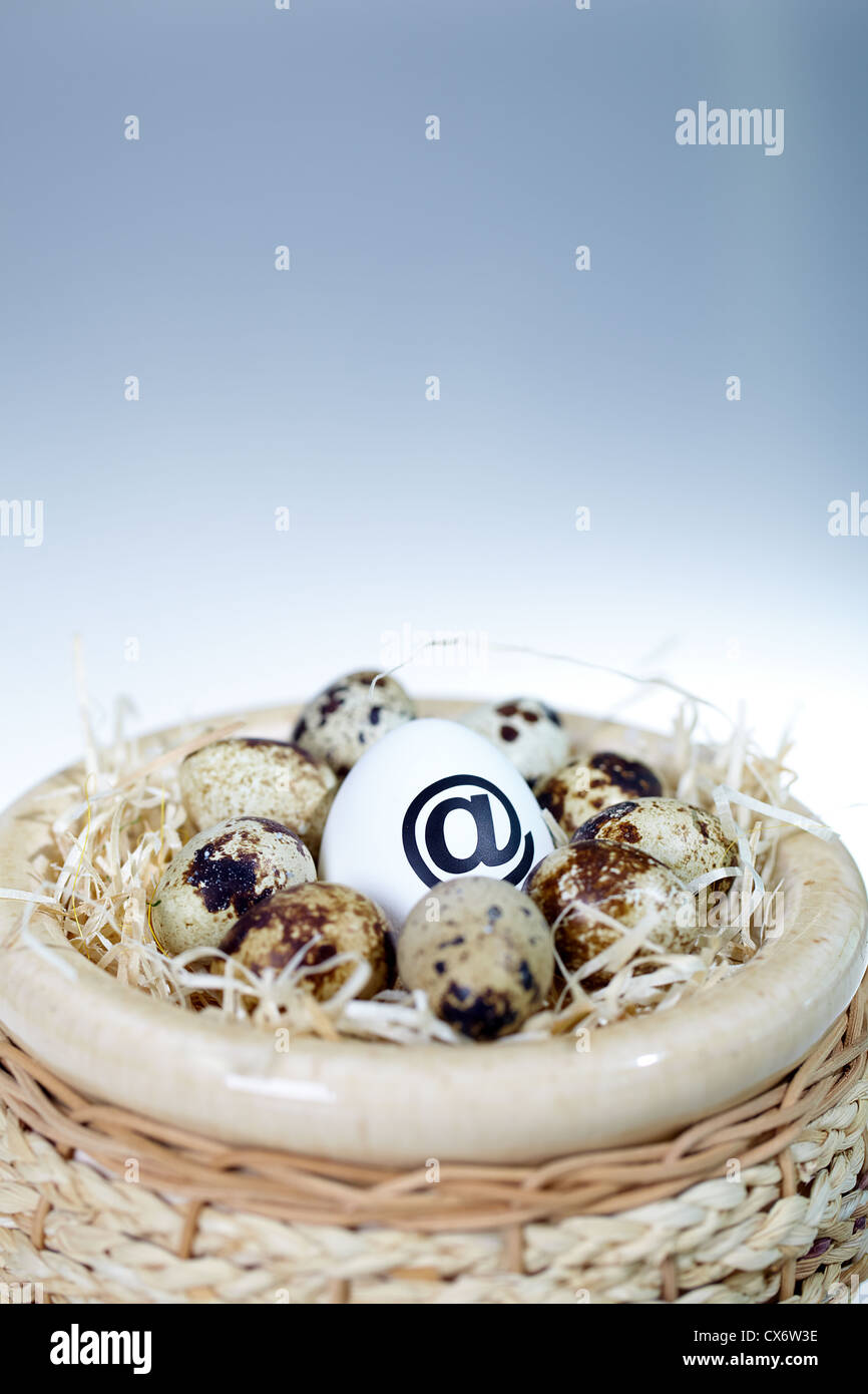 Bild der großen Ei mit 'at'-Zeichen und kleinere im nest Stockfoto