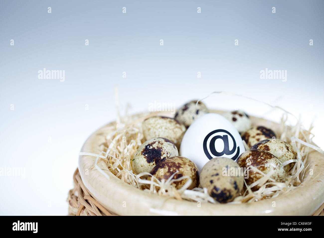Bild der großen Ei mit 'at'-Zeichen unter kleinere im nest Stockfoto