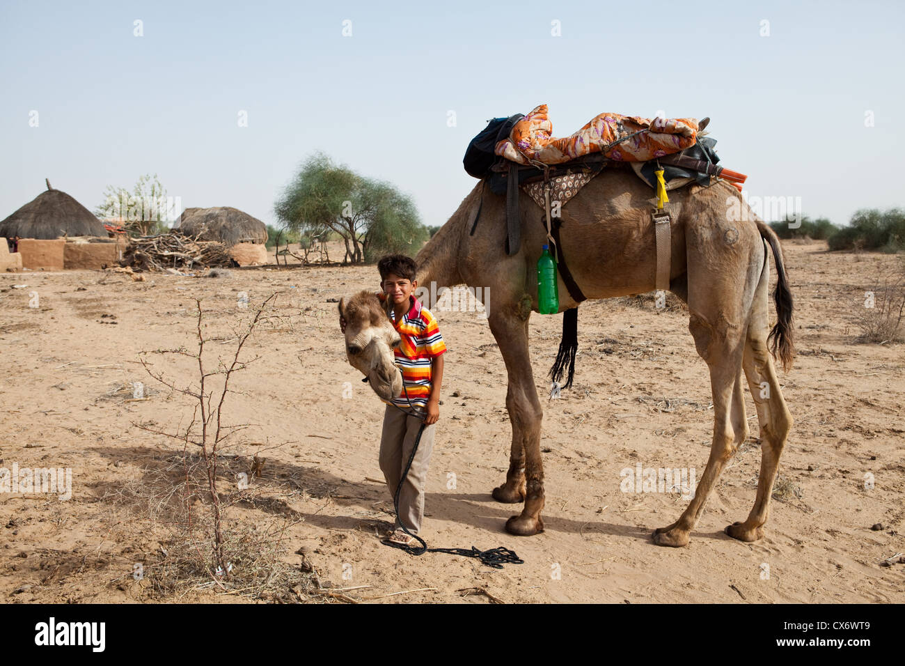 Jungen Führer und Kamel in der Wüste Thar, Rajasthan, Indien Stockfoto