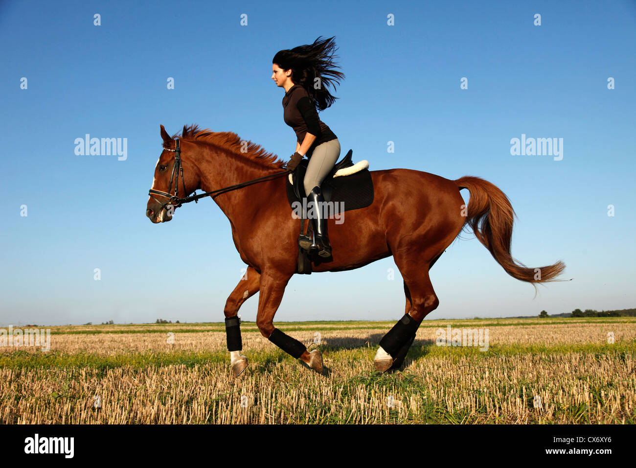 Reiten-Frau Stockfoto