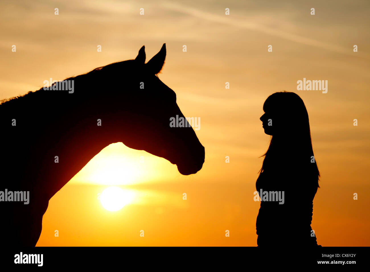 junge Frau mit Pferd Stockfoto