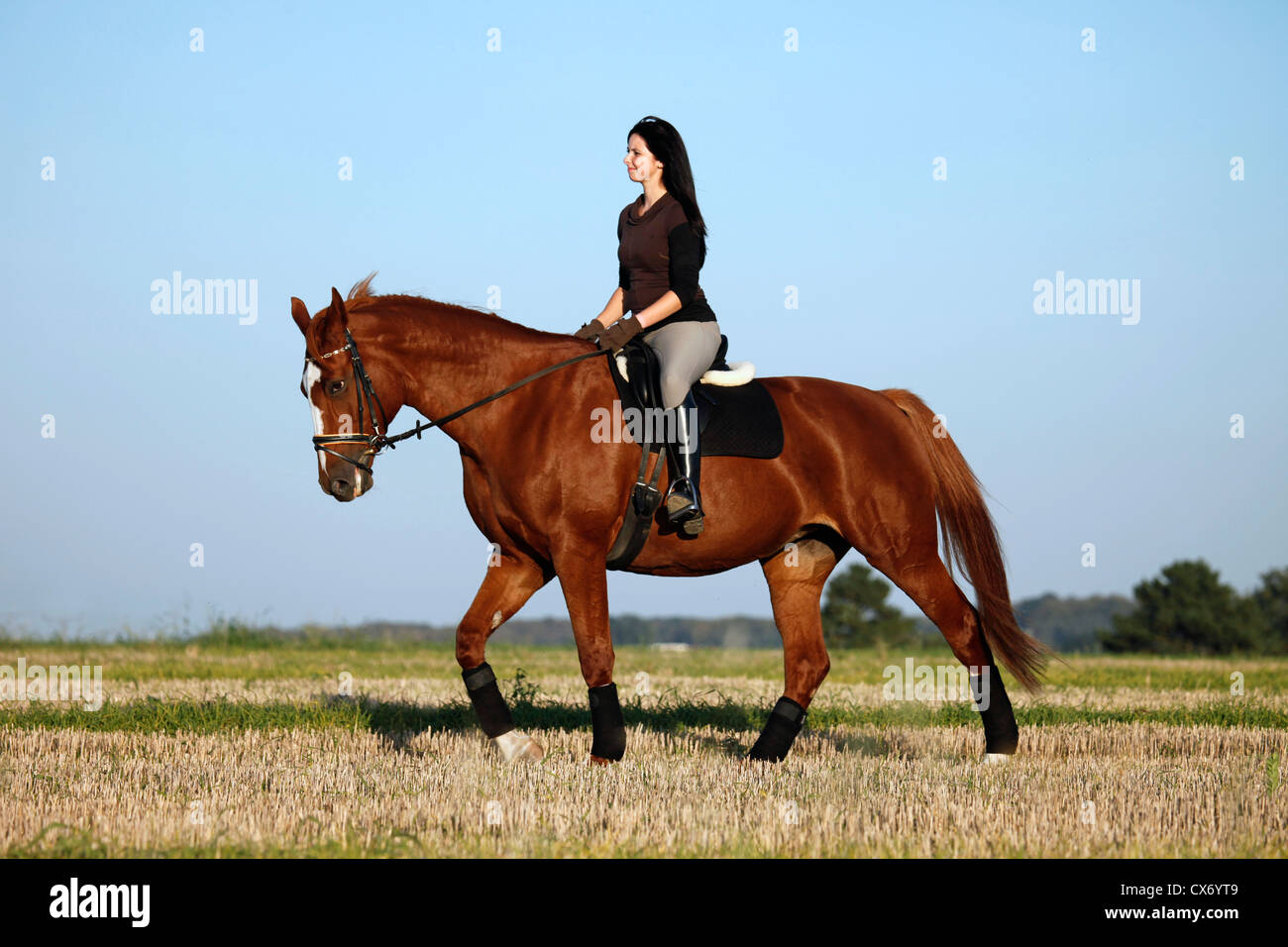 Reiten-Frau Stockfoto