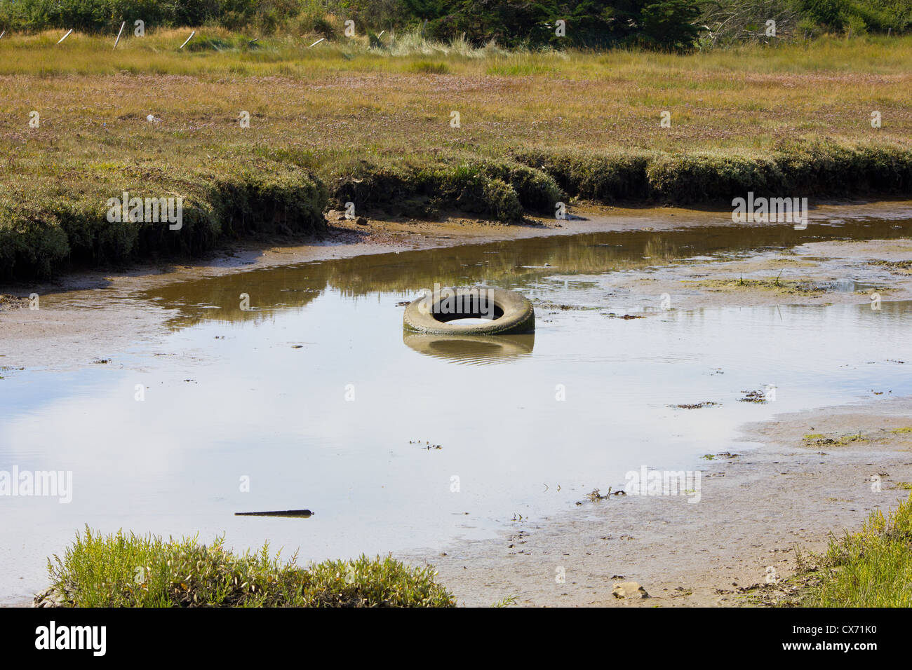 Gebrauchte Reifen / Reifen in Wasser - Schadstoff, Umwelt-Image Stockfoto