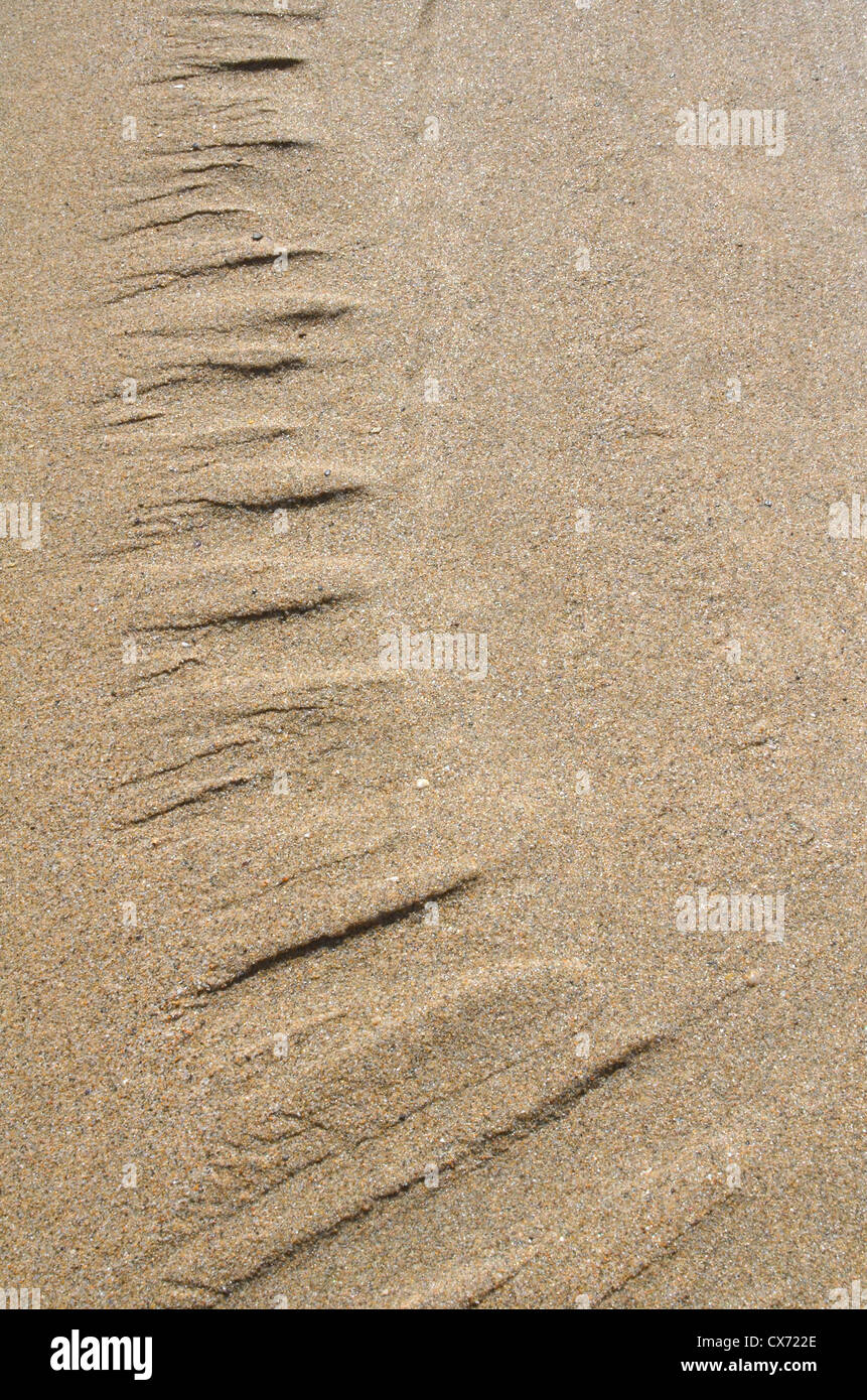 Geriffelter Sand/Fluvialrücken am Strand/an der Küste nach der Flut hat sich gerade zurückgezogen. Perranporth Beach, Cornwall. Mars-ähnliches Flussmuster-Konzept. Stockfoto