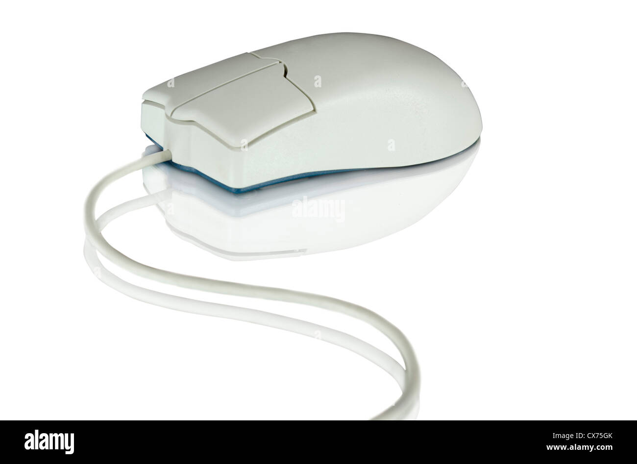 Computer-Maus isoliert auf weißem Hintergrund Stockfoto
