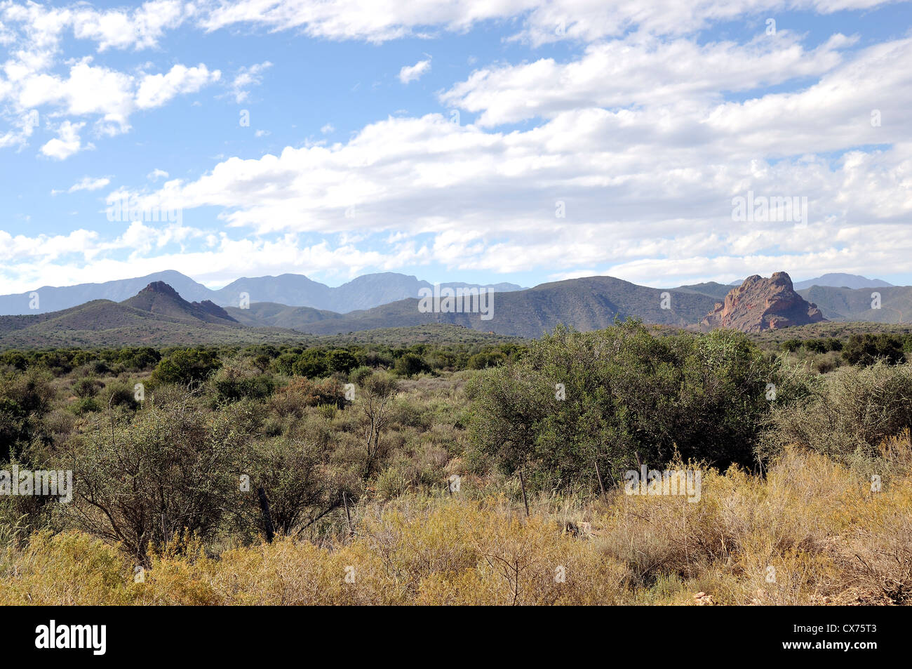 Landschaft der roten Berge Stockfoto