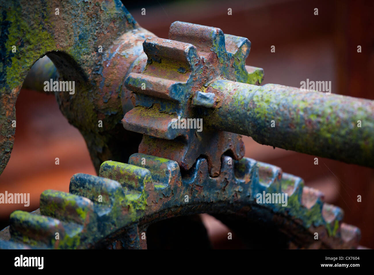 Nahaufnahme von Rusty Zahnrad und Getriebe Stockfoto