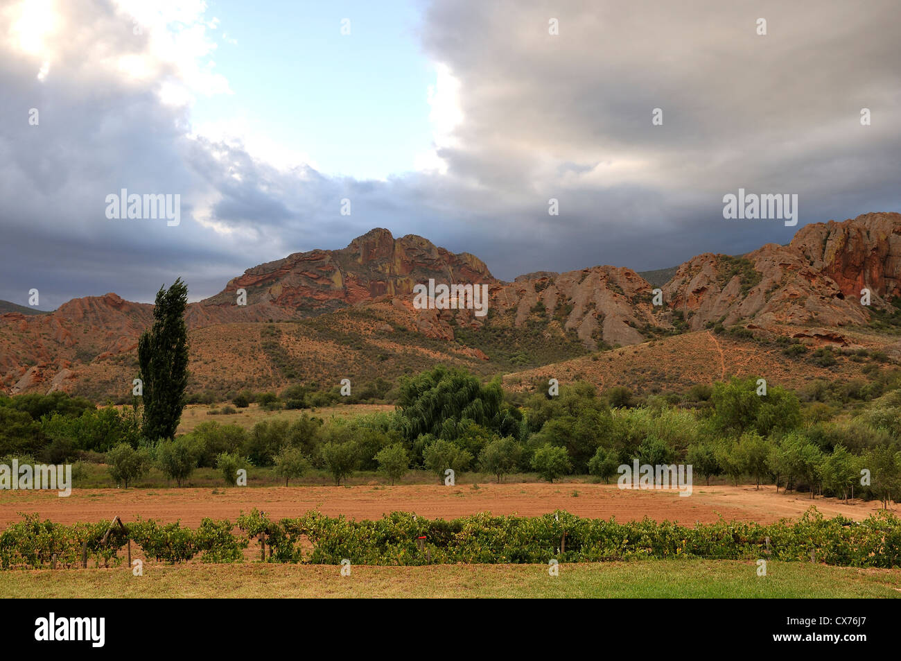 Rouges Südafrika Stockfoto