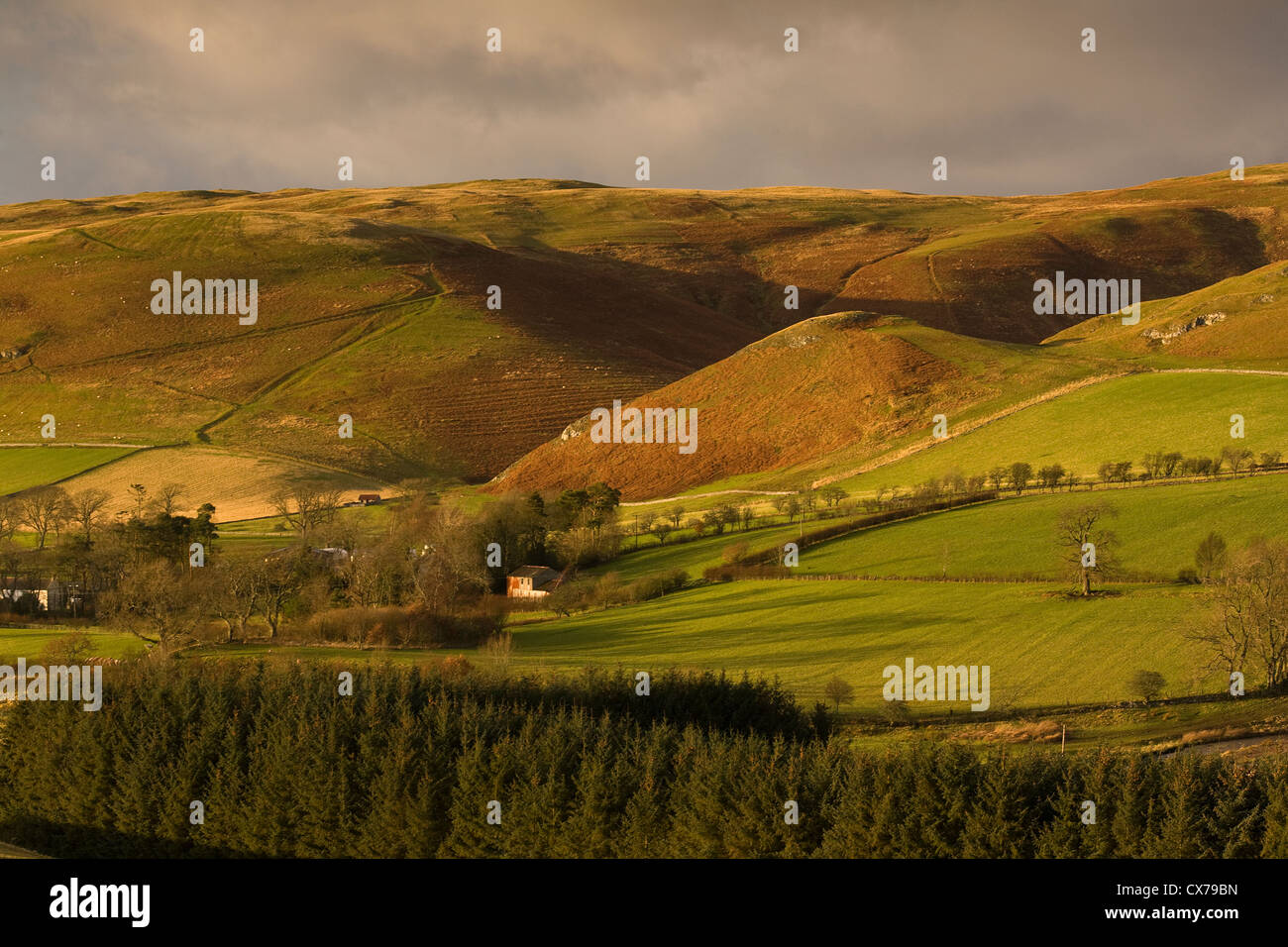 Die Cheviot Hills in der Nähe von Alwinton und der Beginn der oberen Coquetdale, in Northumberland National Park, England Stockfoto