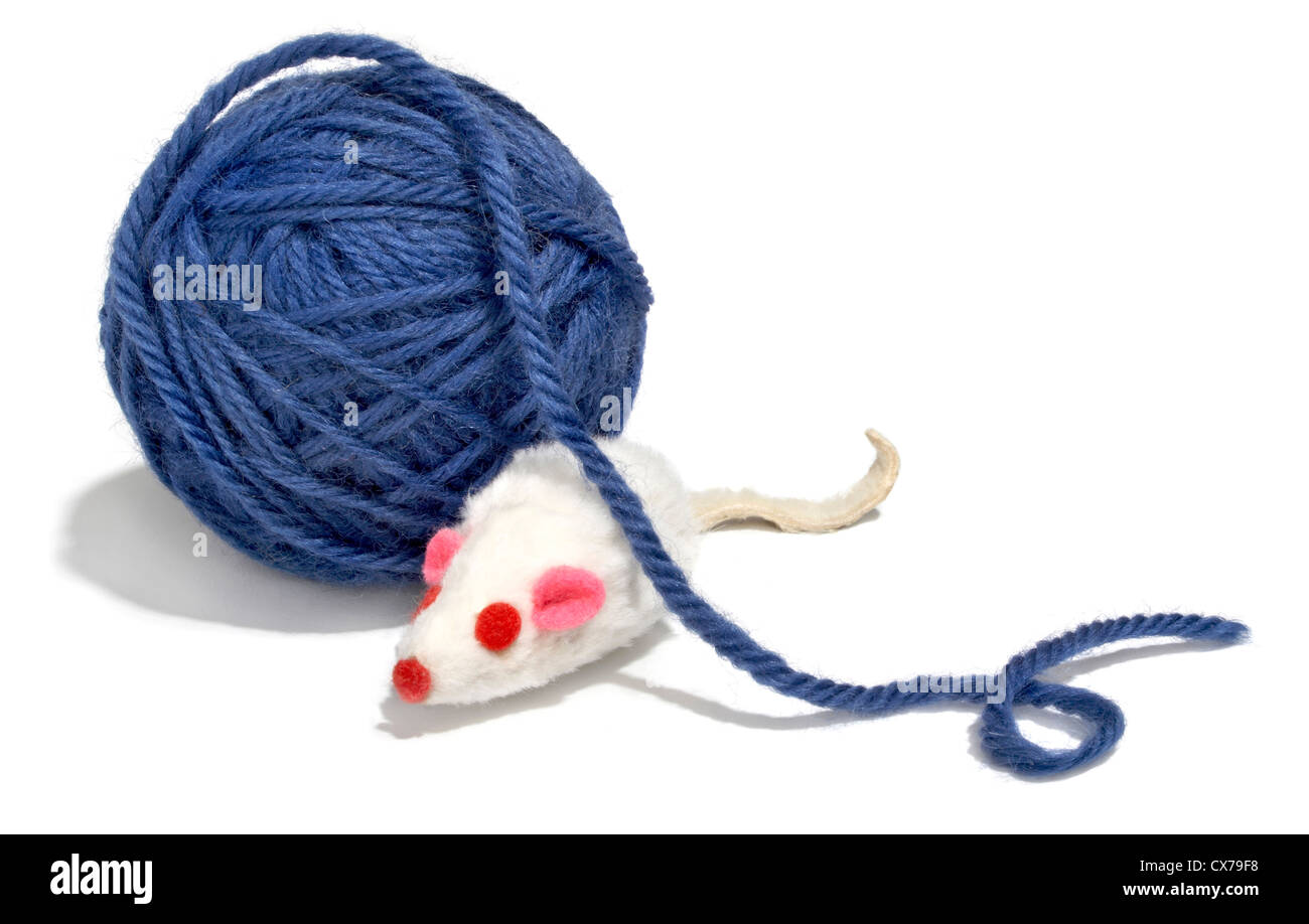 blaue Garn und Maus Katzenspielzeug auf weißem Hintergrund fotografiert Stockfoto