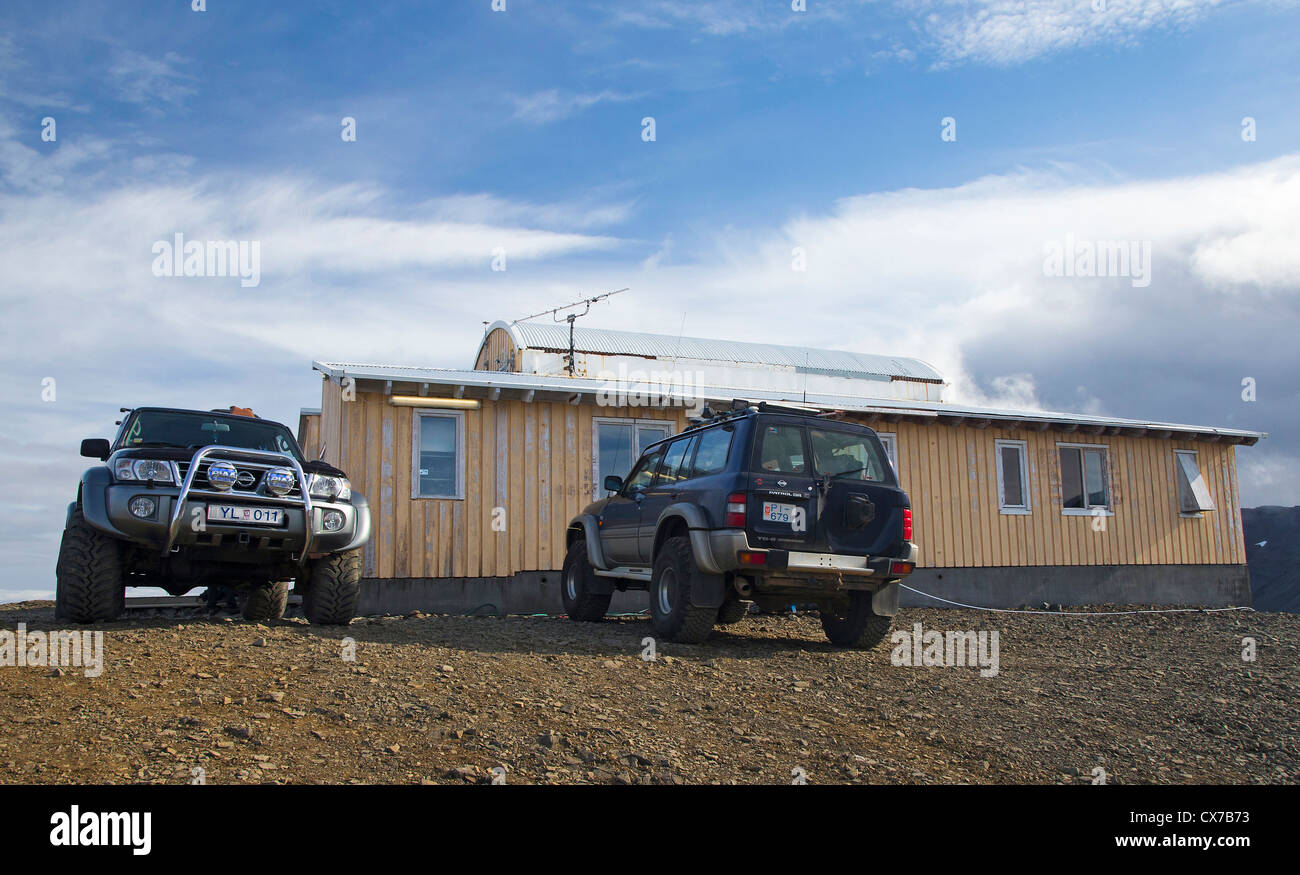 Jöklasel, Vatnajökull Gletscher, Island Stockfoto
