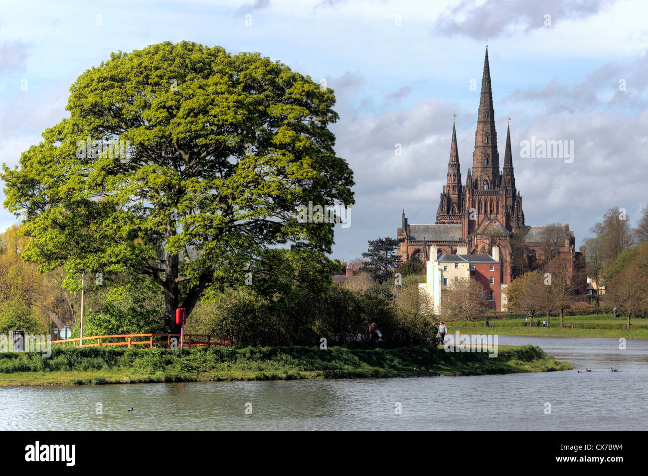 Lichfield Kathedrale, Lichfield, Staffordshire, UK Stockfoto