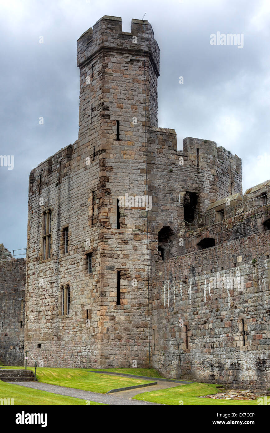 Burg, Caernarfon, Gwynedd, Wales, UK Stockfoto