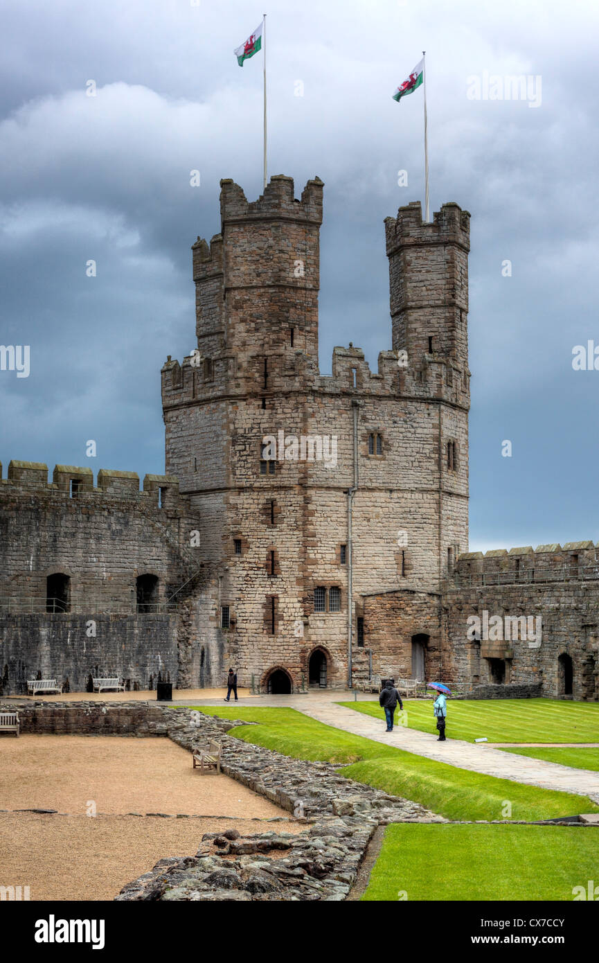 Eagle-Turm, Burg, Caernarfon, Gwynedd, Wales, UK Stockfoto