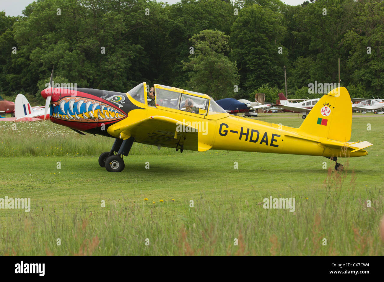 de Havilland DHC-1 Chipmunk Trainer Flugzeug Zähne Stockfoto