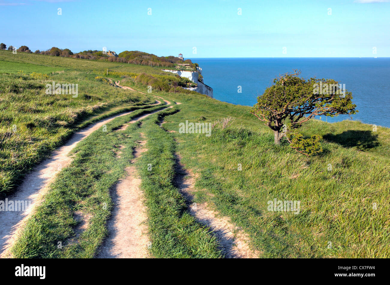 Weiße Klippen von Dover, Dover, Kent, England, UK Stockfoto