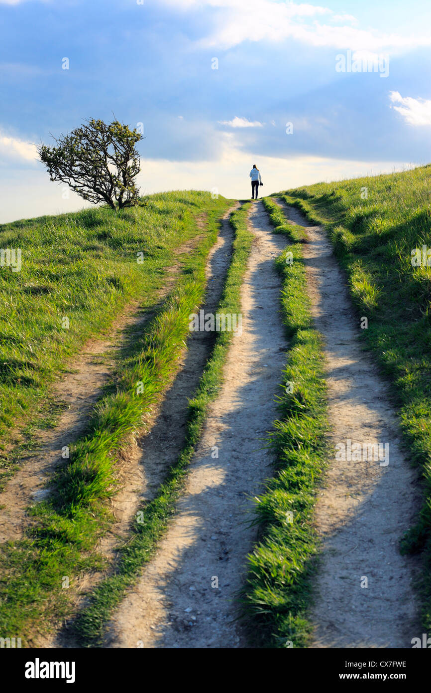 Weiße Klippen von Dover, Dover, Kent, England, UK Stockfoto