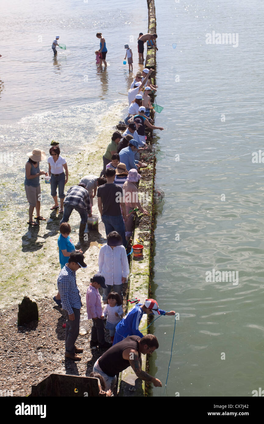 Leute fangen Krebse (Verdrehungen) von Littlehampton Strand in den Fluss Arun Stockfoto