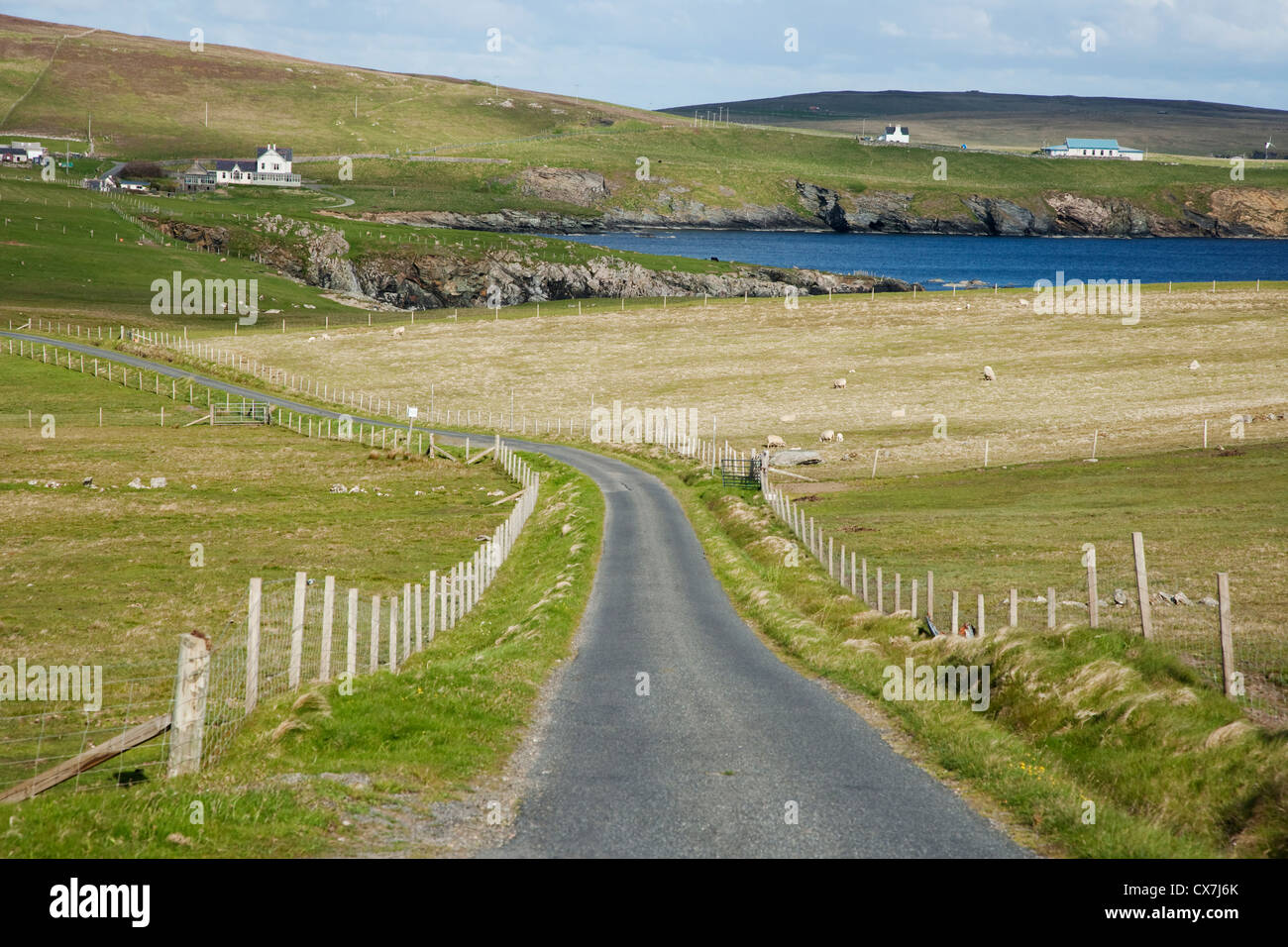 Single Track Road mit vorbei an Orten Fetlar, Shetland, UK LA005755 Stockfoto