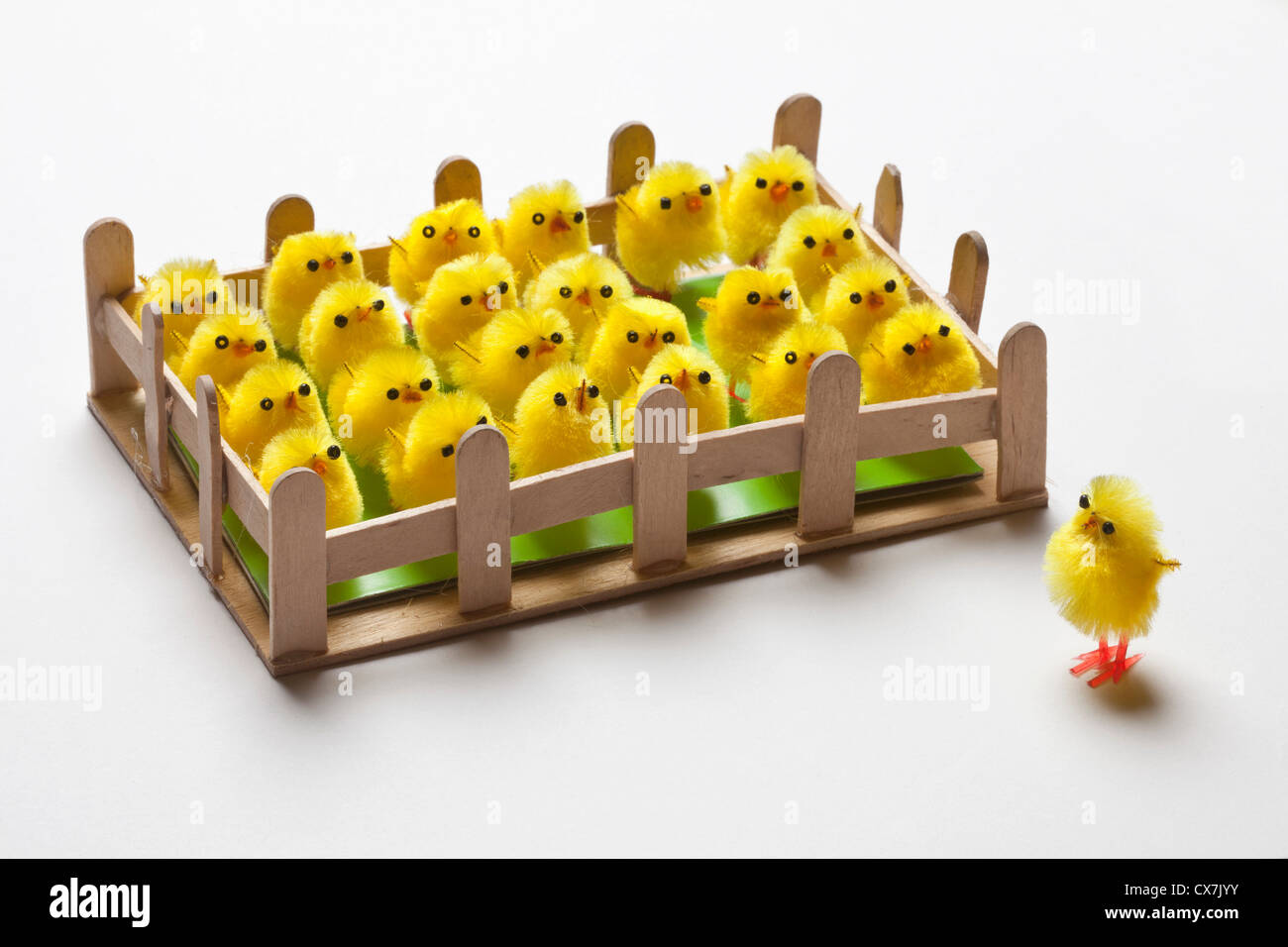 Eine Gruppe von Spielzeug Ostern Küken eingezäunt mit einem an der Außenseite des Zauns Stockfoto