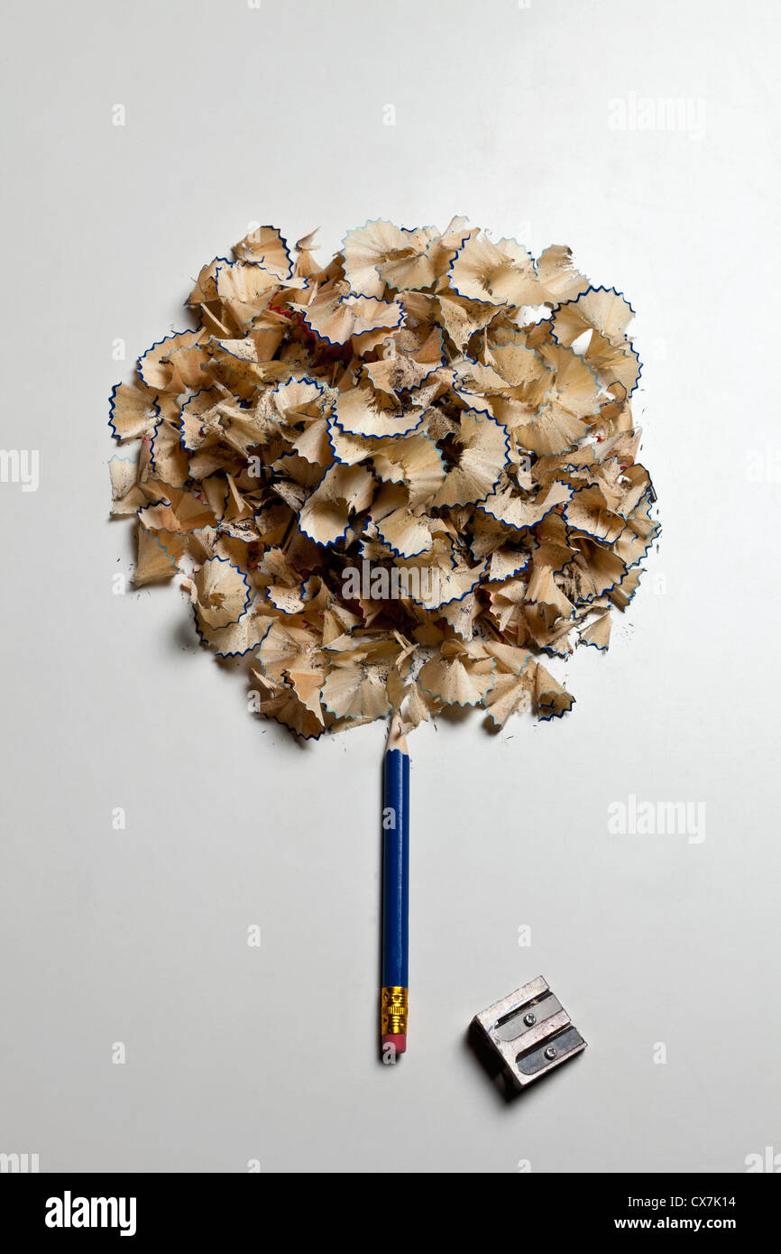 Bleistift und Bleistift Späne gebildet, um auszusehen wie ein Baum Stockfoto