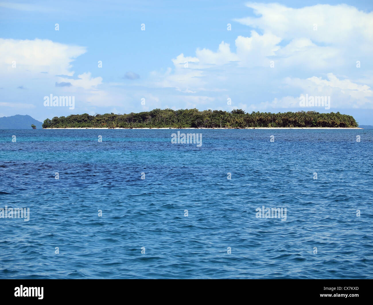 Unberührte karibische Insel mit üppiger Vegetation, Bocas del Toro, Panama Stockfoto