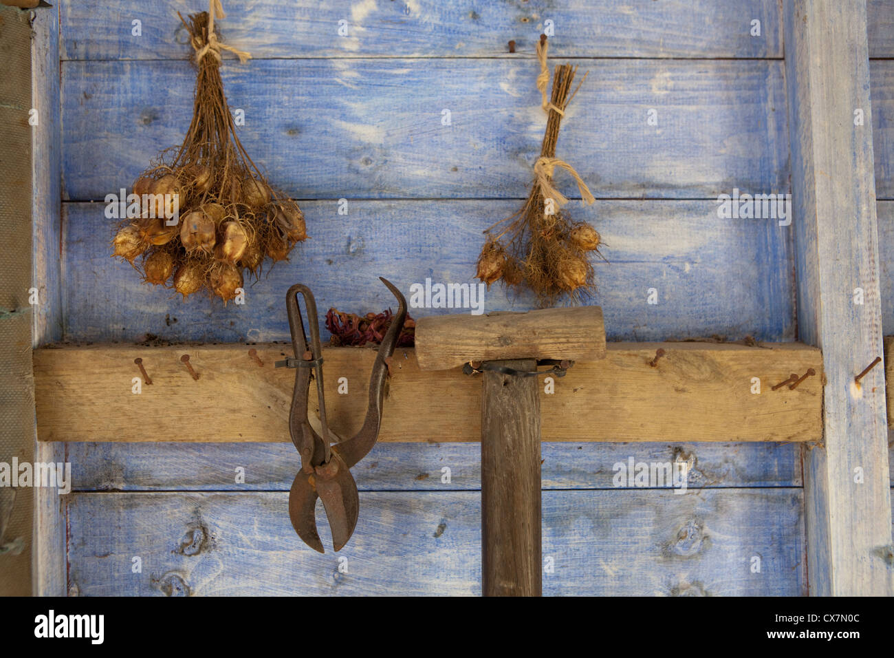 Gartengeräte und Samenköpfe Harlow Carr RHS Gardens in der Nähe von Harrogate in North Yorkshire, England Stockfoto