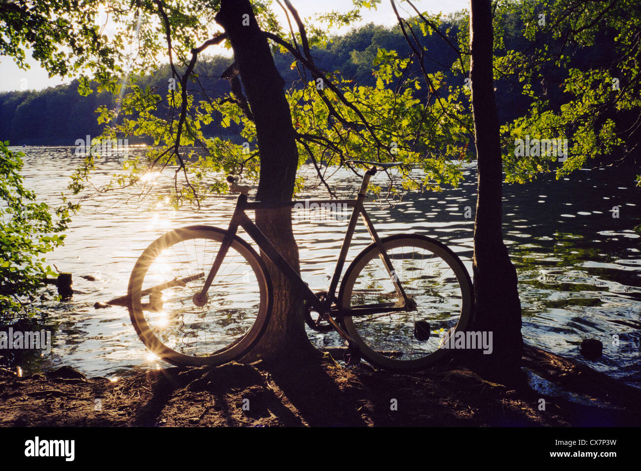 Motorrad gegen Baum am Ufer geparkt Stockfoto