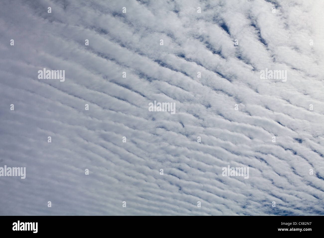Cirrus-Wolke am blauen Himmel Stockfoto