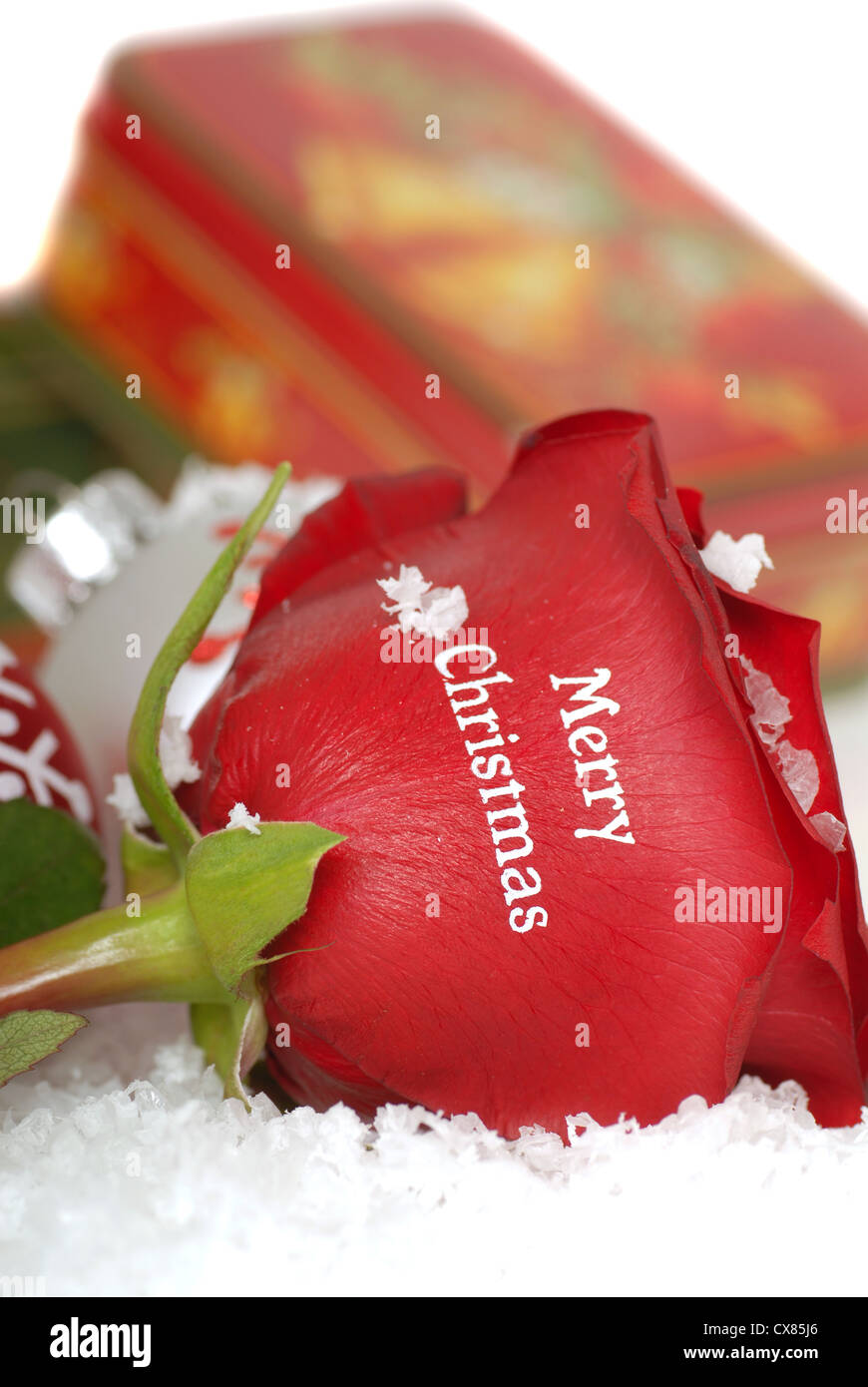 Schöne rote Rose mit Frohe Weihnachten geschrieben ich auf weiß mit Ornamenten, Schnee und Geschenke im Hintergrund Stockfoto