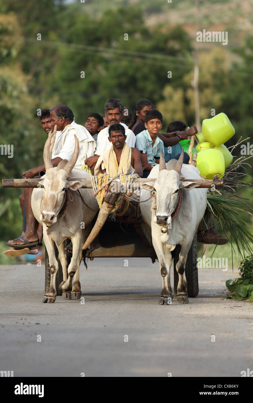 Ochsenkarren transportieren Dorfbewohner Andhra Pradesh in Indien Stockfoto