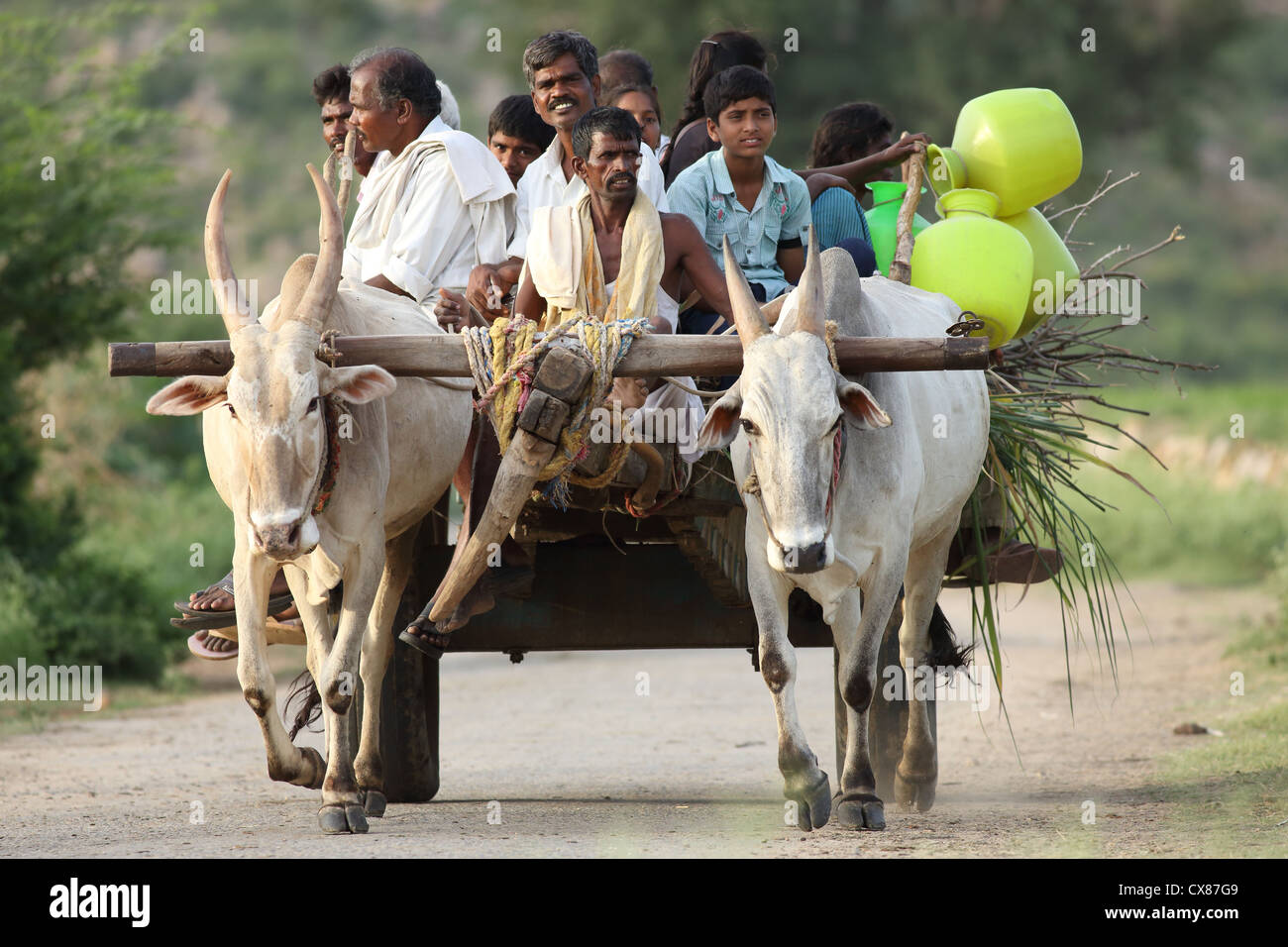 Ochsenkarren transportieren Dorfbewohner Andhra Pradesh in Indien Stockfoto