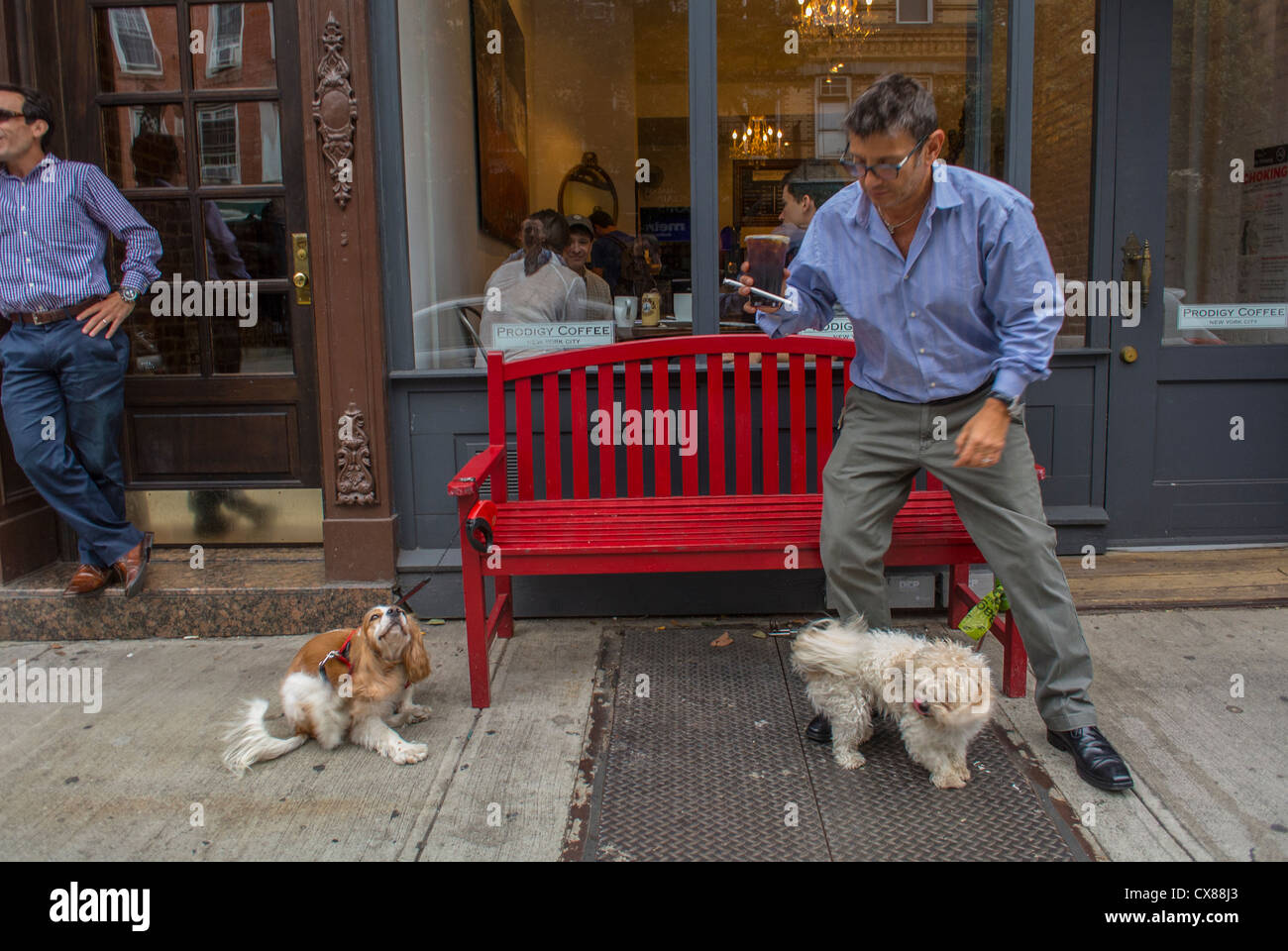 New York City, NY, USA, Straßenszenen, Mann mit Hunden, Außenshop, Bürgersteig in Greenwich Village, Bank, städtische Haustiere Stockfoto
