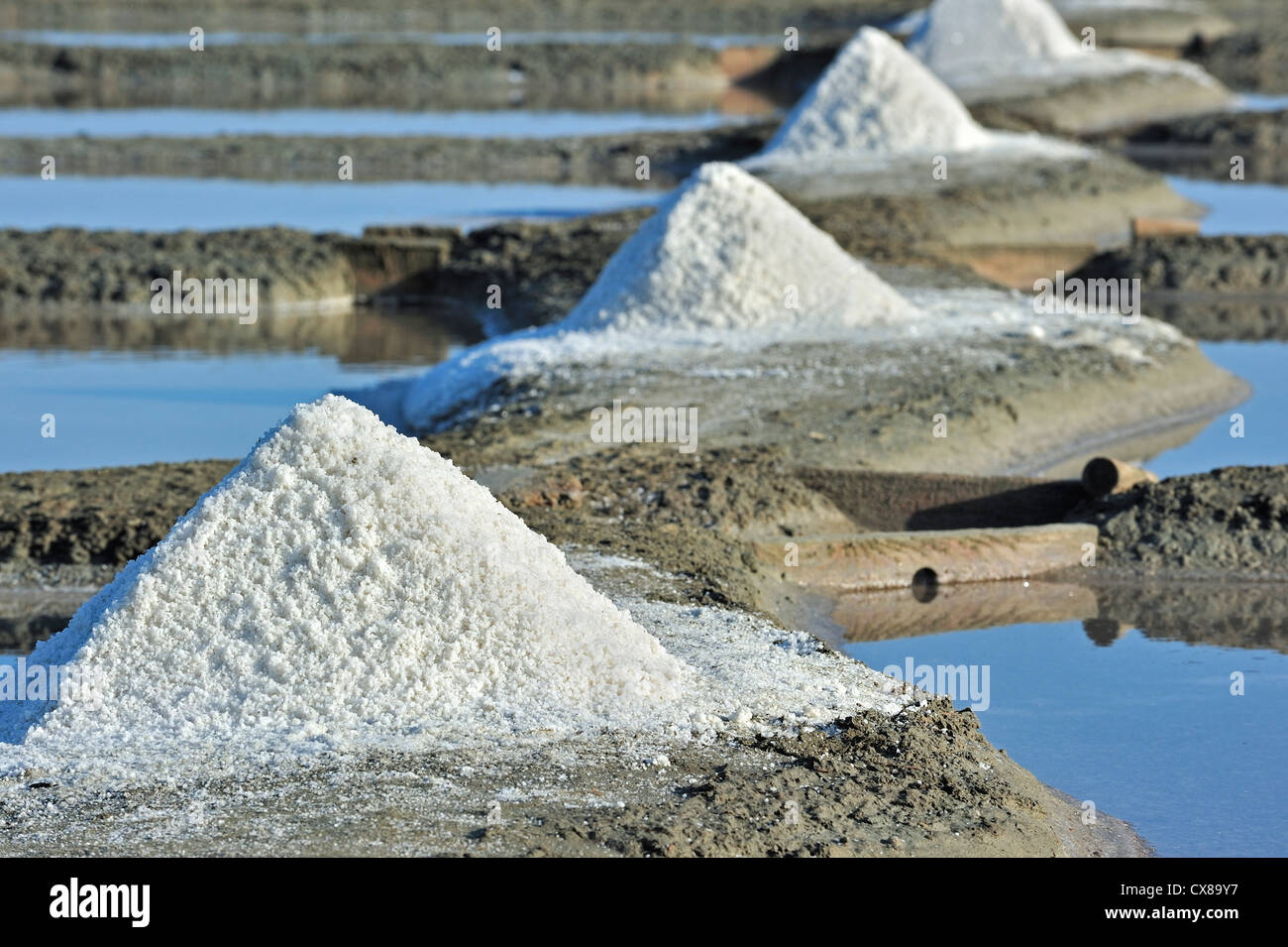 Pfähle auf Salzpfanne für die Produktion von Fleur de Sel / Meersalz entlang der Küste auf der Insel Ile de Ré, Charente-Maritime, Frankreich Stockfoto