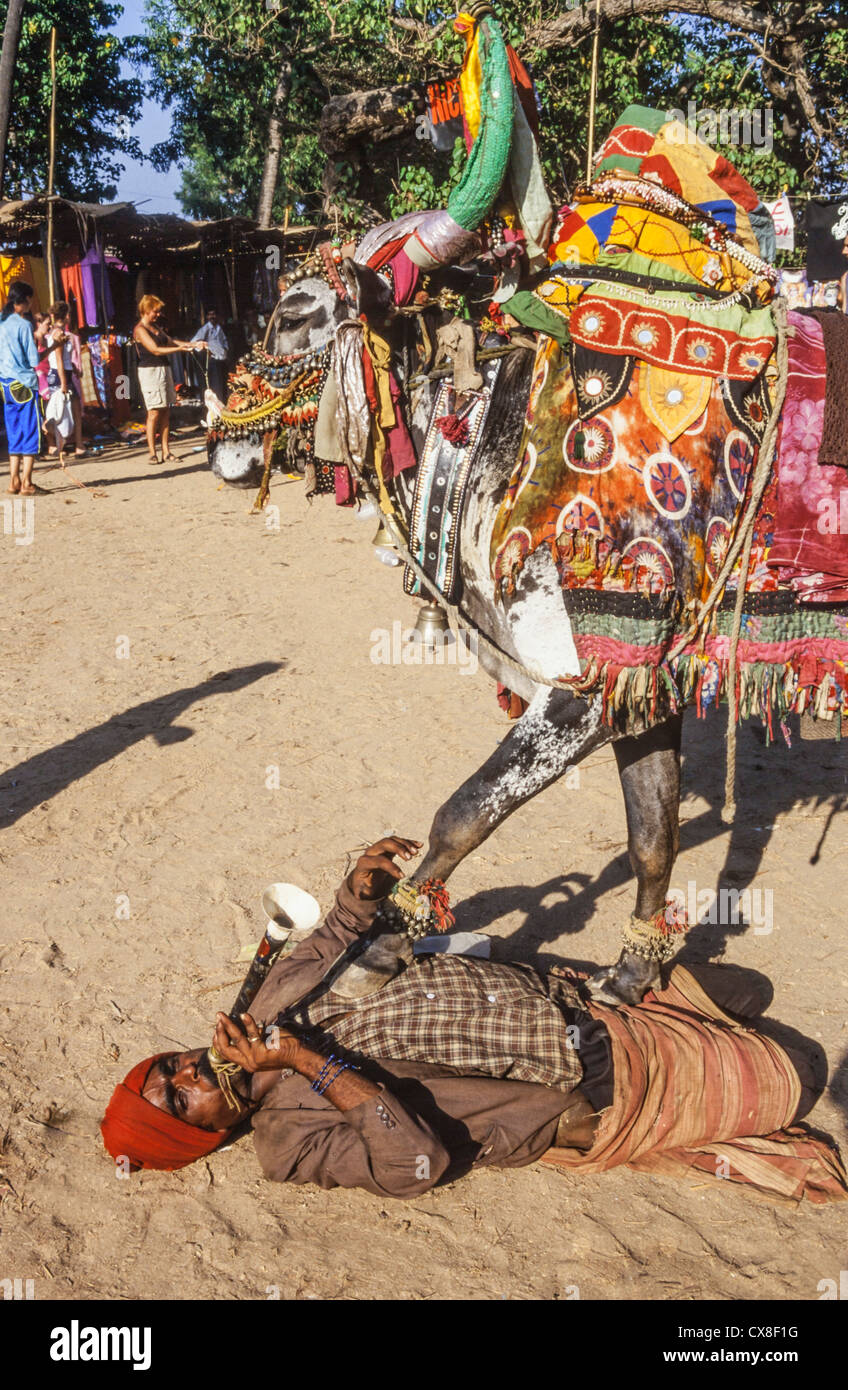 Hippie-Flohmarkt, Flötenspieler mit Kuh am Anjuna Beach, North Goa, Indien Stockfoto