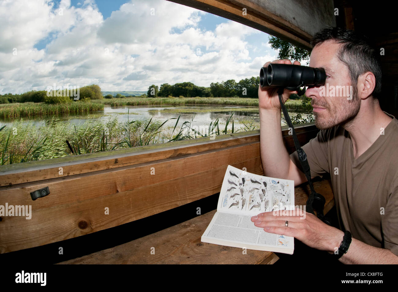 Vogelbeobachter spähte durch Fernglas und verwenden ein Vogelbuch Identifikation von innerhalb einer Öffentlichkeit zu verstecken, an einem sonnigen Morgen Stockfoto