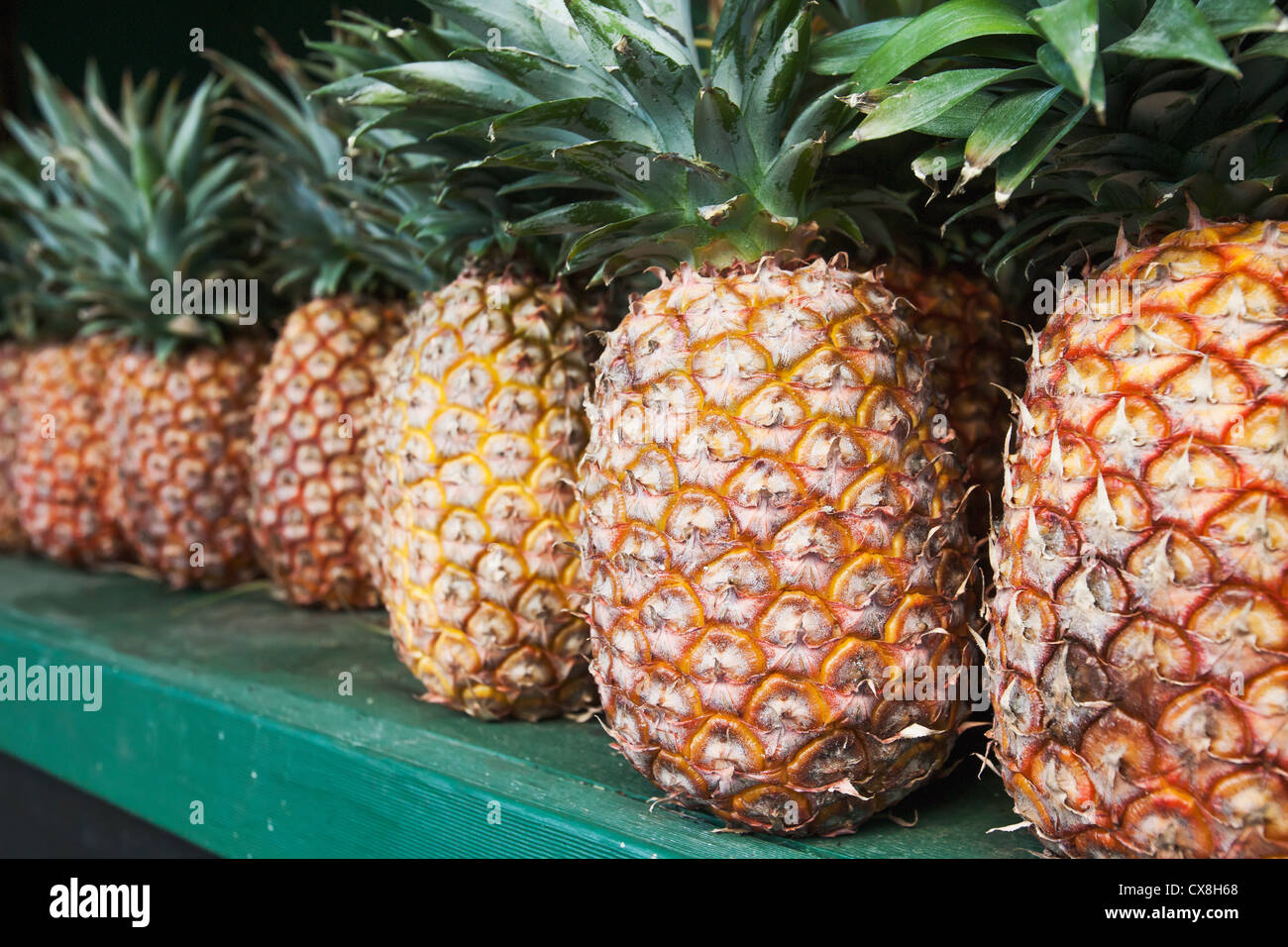 Ananas im Fenster ein Obstladen an der Straße angezeigt; Murwillumba New South Wales Australien Stockfoto