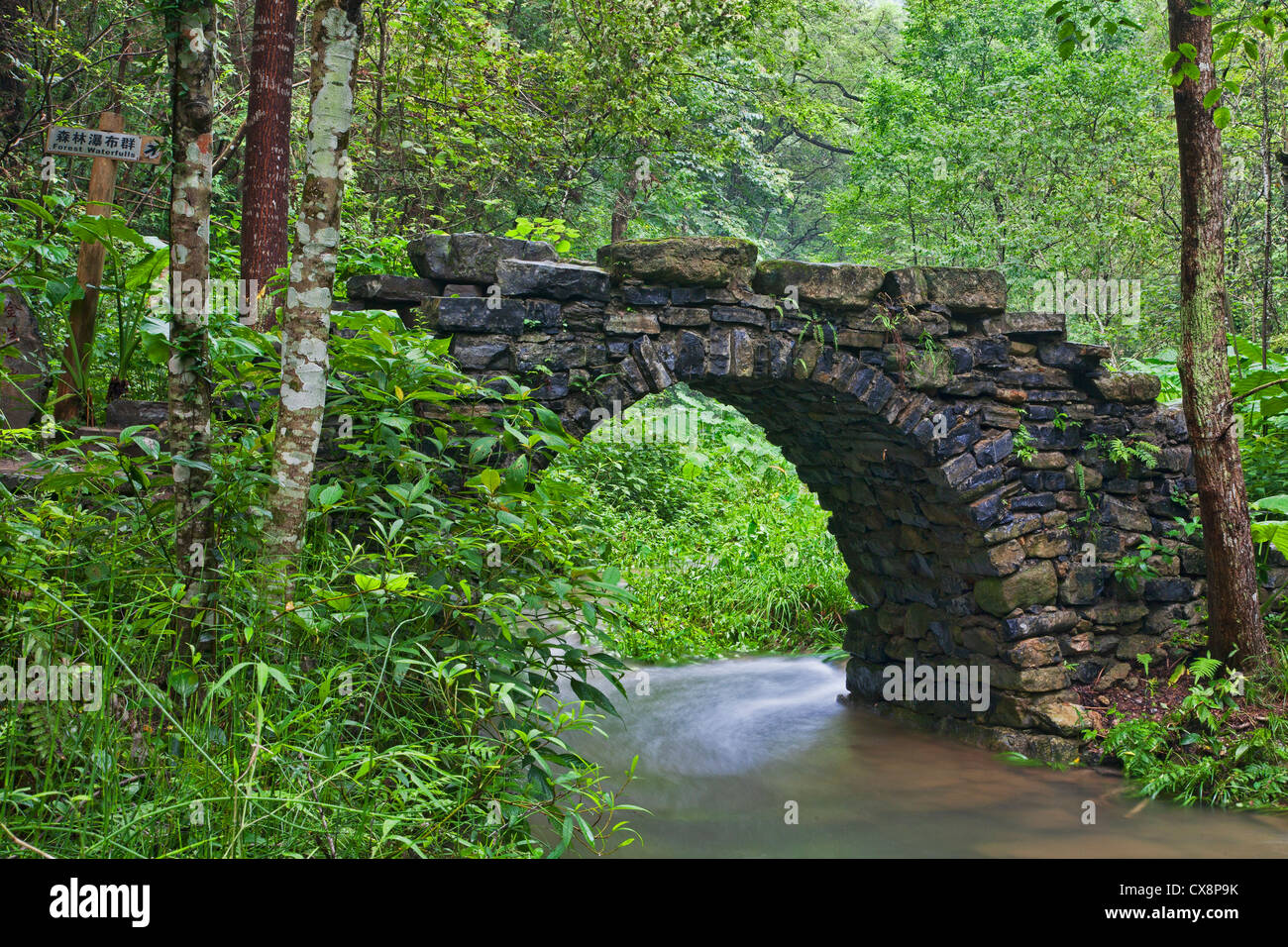 Eine wunderbare Steinbogenbrücke im Erholungsgebiet Gudong Wasserfall ist der größte Wald-Park in Guilin. Stockfoto