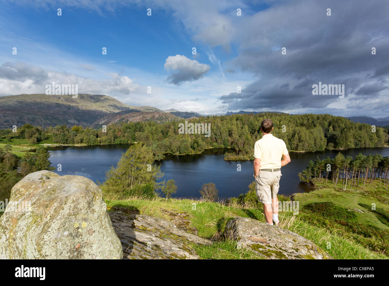 Wanderer blickt über Tarn Hows in der Nähe von Hawkshead im englischen Lake District, UK Stockfoto