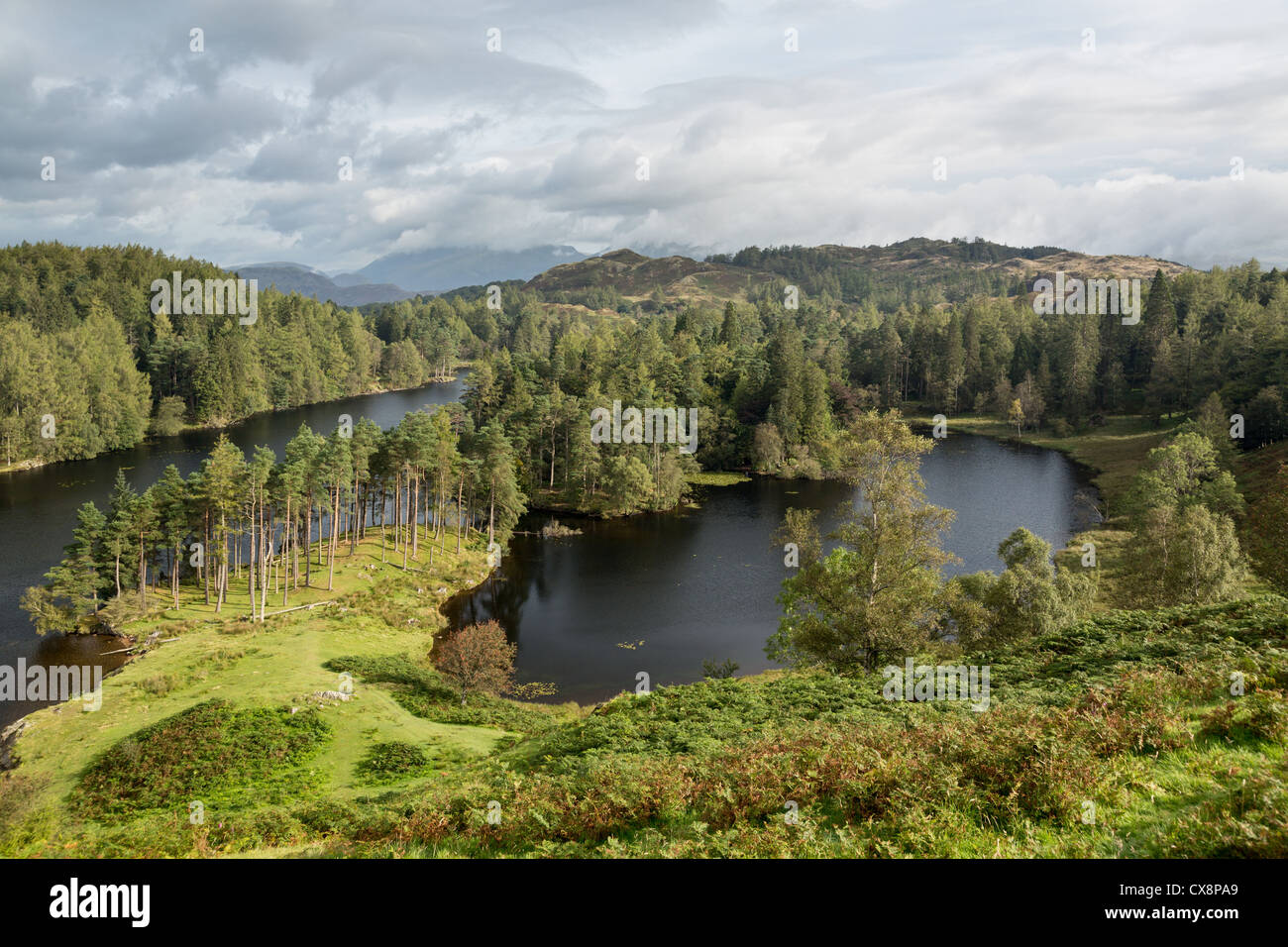 Blick über Tarn Hows Bergsee im englischen Lake District, England, Großbritannien Stockfoto