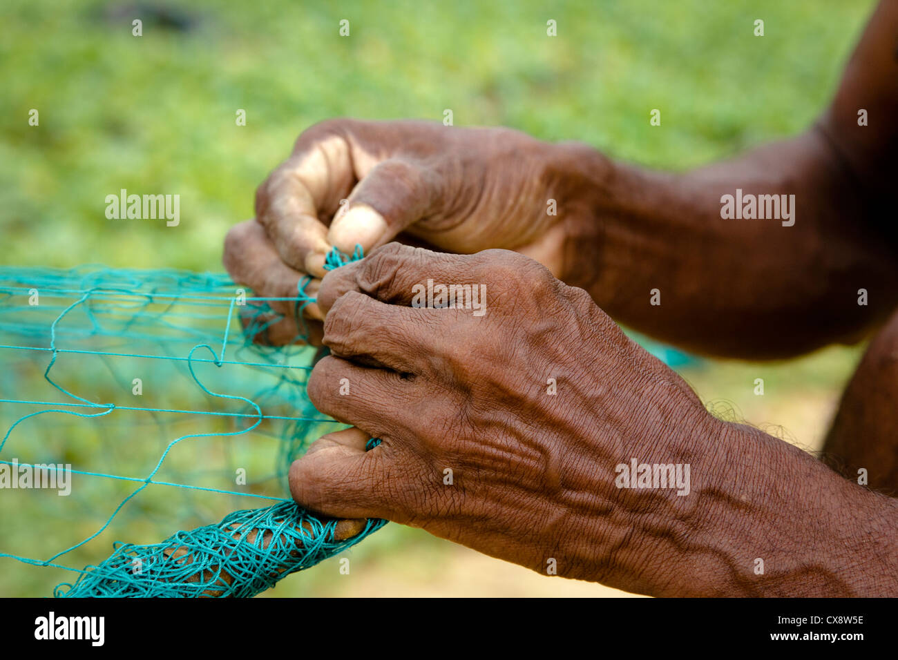 Hände von einem lokalen Fischer Flicken ein Fischernetz Waikkal Dorf, Sri Lanka Stockfoto