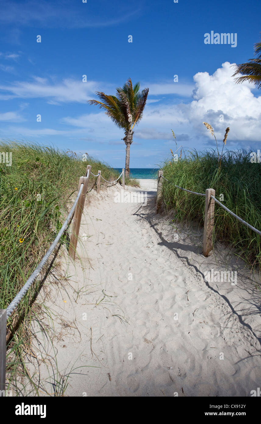 Verlassener Strand Weg in South Beach, Miami Beach, Florida, USA Stockfoto