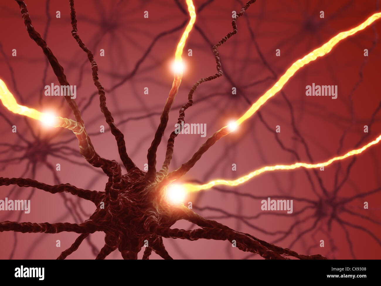 Miteinander verbundene Neuronen Informationen mit elektrischen Impulsen übertragen. Stockfoto