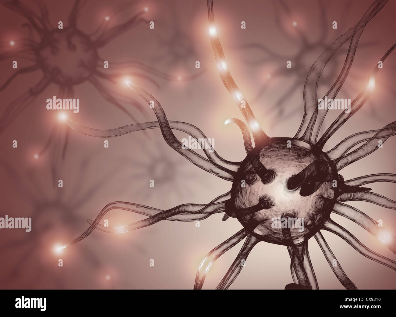 Miteinander verbundene Neuronen Informationen mit elektrischen Impulsen übertragen. Stockfoto
