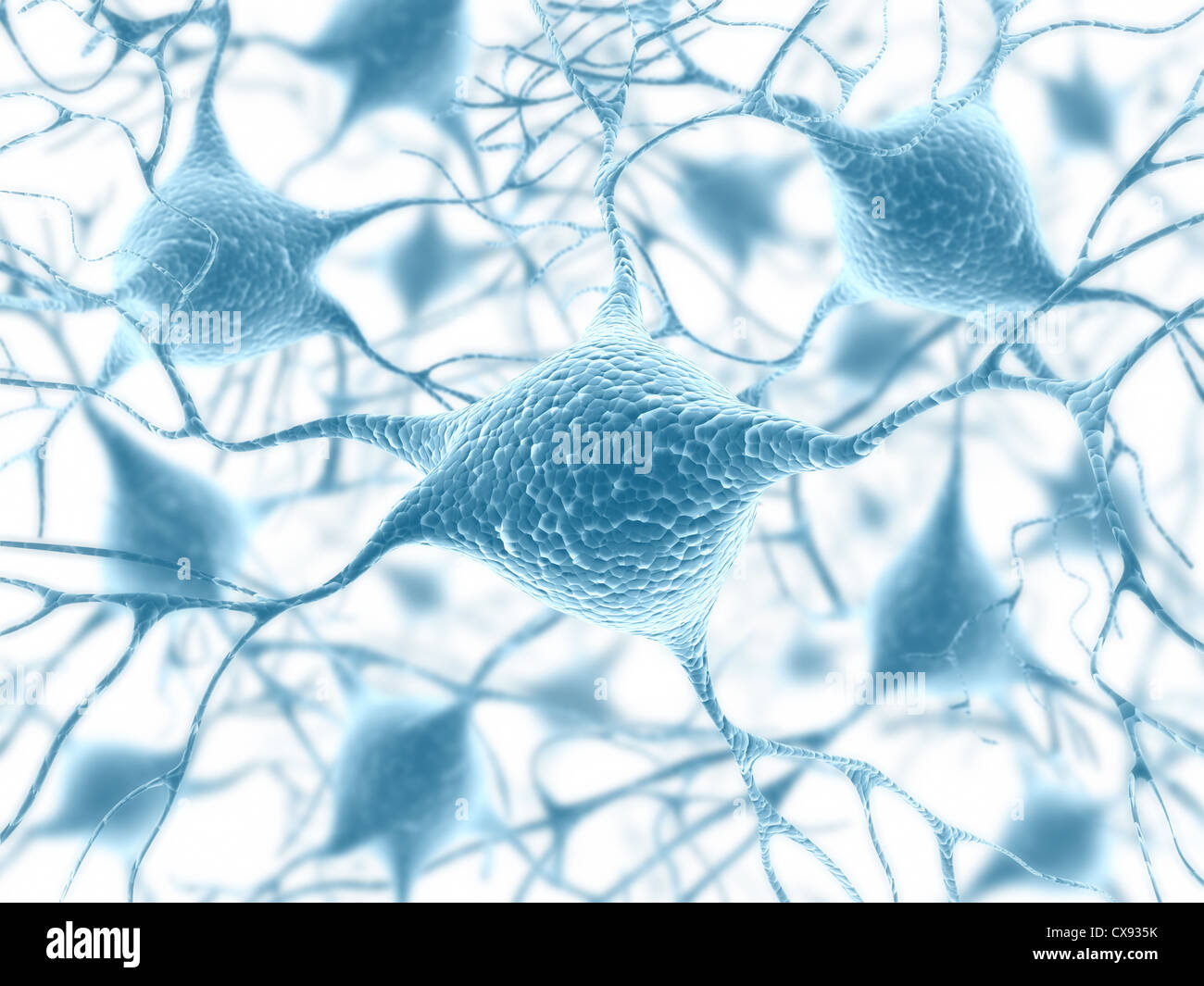 Bild-Konzept für ein Netzwerk von Neuronen im menschlichen Gehirn. Stockfoto