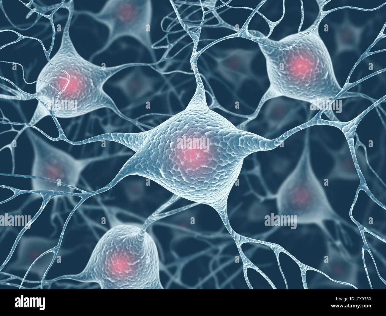 Bild-Konzept für ein Netzwerk von Neuronen im menschlichen Gehirn. Stockfoto