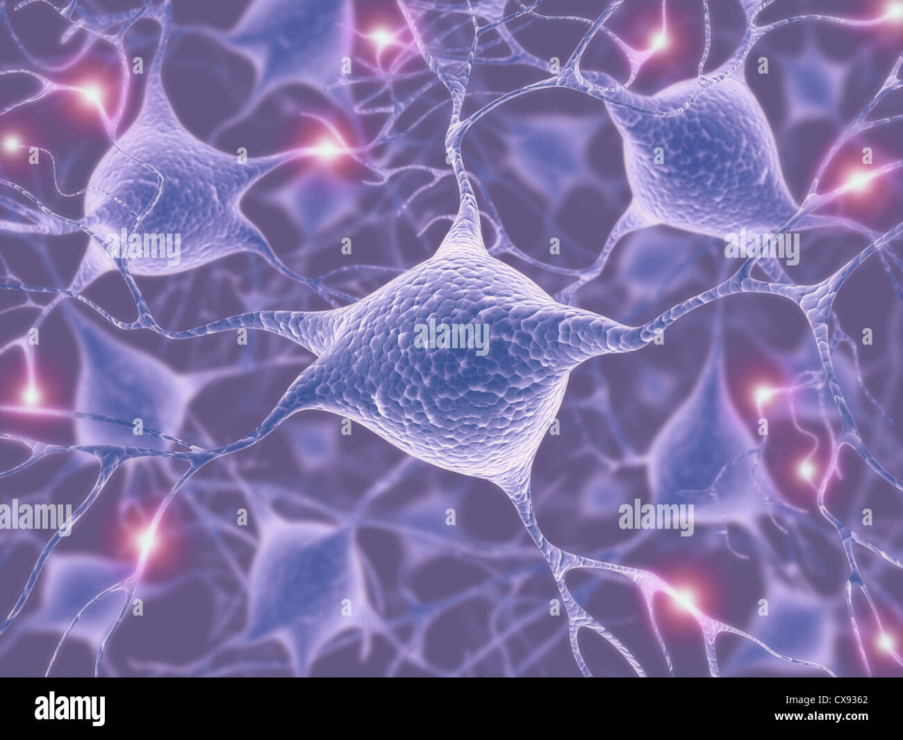 Bild-Konzept für ein Netzwerk von Neuronen im menschlichen Gehirn. Stockfoto