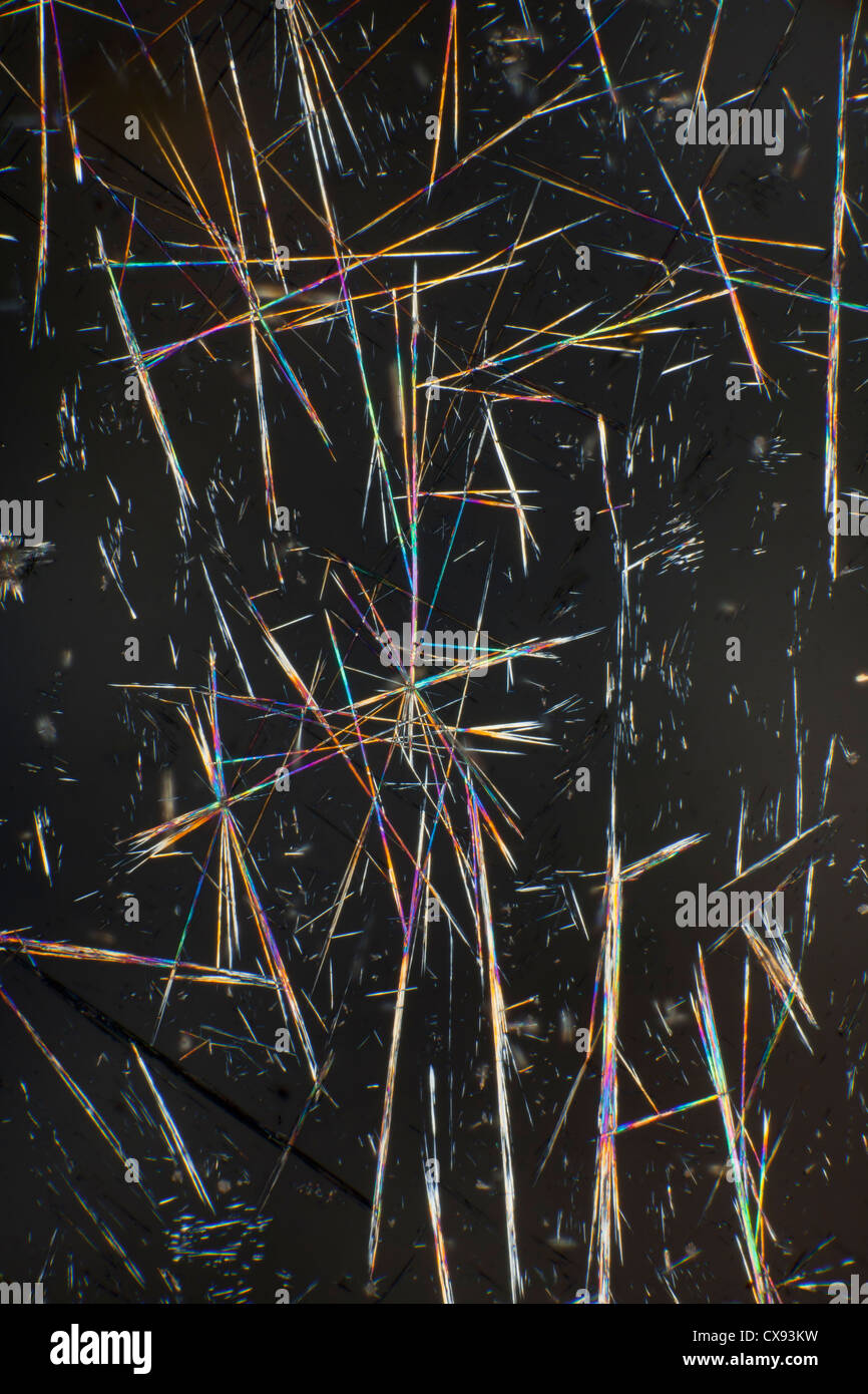 Koffein Kristalle Mikrophotographie, betrachtet von polarisiertem Licht Stockfoto