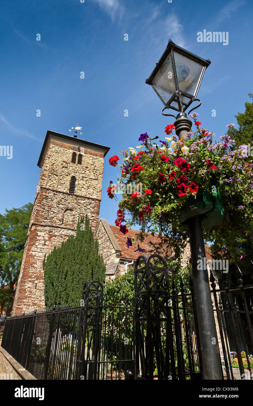 Colchester, UK, Stadtzentrum Blumenampel, Holy Trinity Church tower Stockfoto