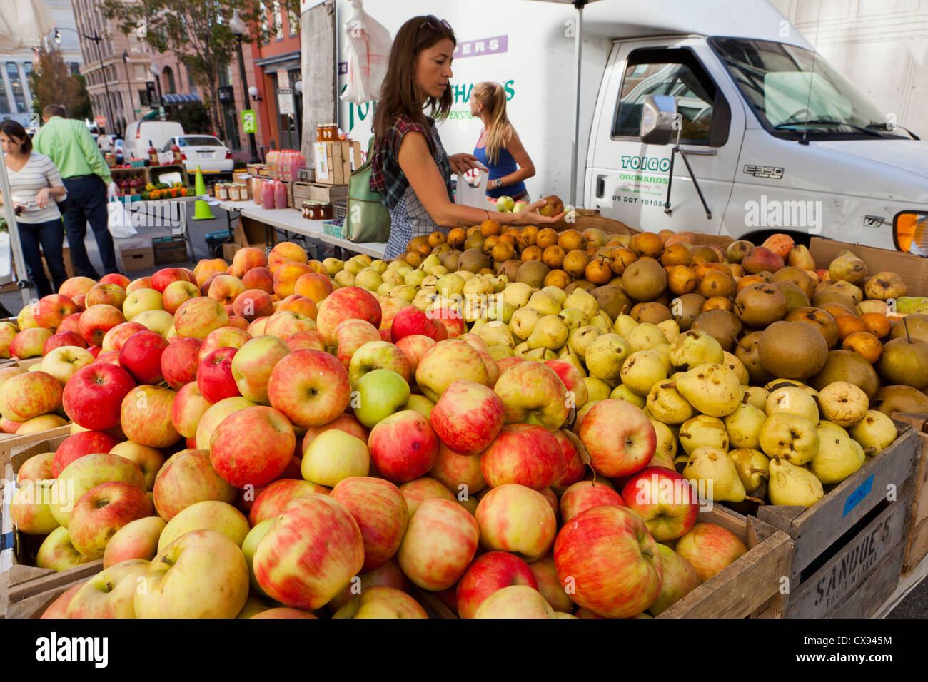 Frau Kommissionierung Obst am Bauernmarkt - Washington, DC USA Stockfoto